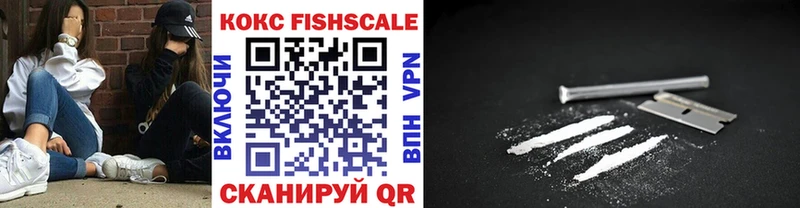 дарк нет Telegram  Козельск  Кокаин Fish Scale 