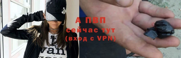 стафф Кодинск