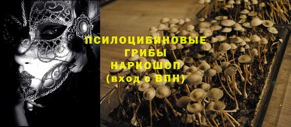 спиды Козельск