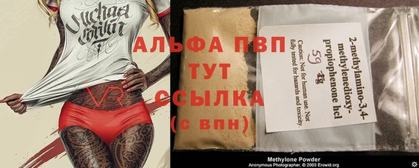 стафф Кодинск
